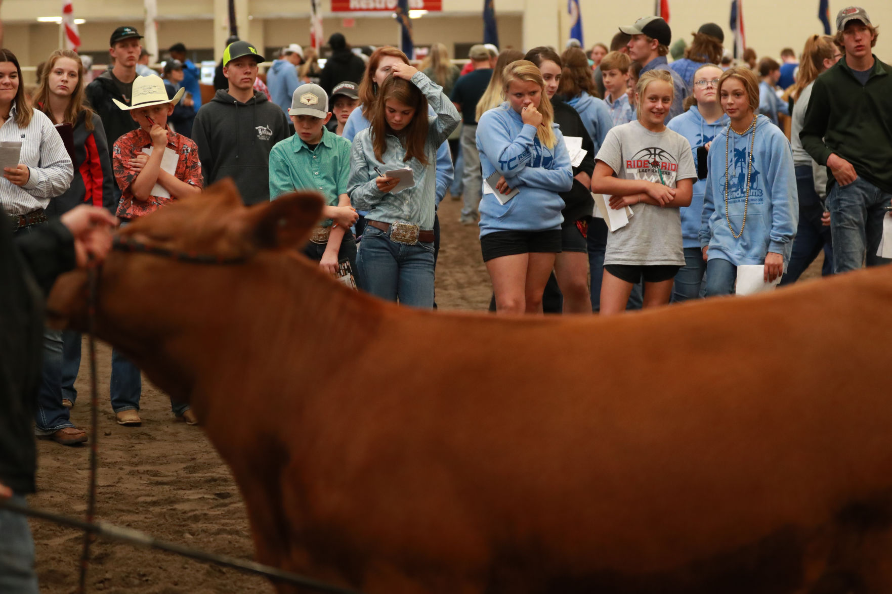 061819_RedAngusJudging14_bjs.JPG
